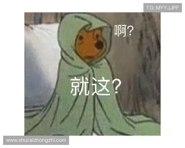 全面解析K8入口首页的功能特色与最新更新内容推荐